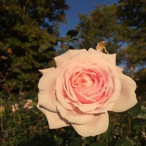 Meet your Posher, Jen